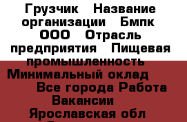 Грузчик › Название организации ­ Бмпк, ООО › Отрасль предприятия ­ Пищевая промышленность › Минимальный оклад ­ 20 000 - Все города Работа » Вакансии   . Ярославская обл.,Ярославль г.